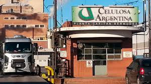 /imagenes/celulosa.jpg